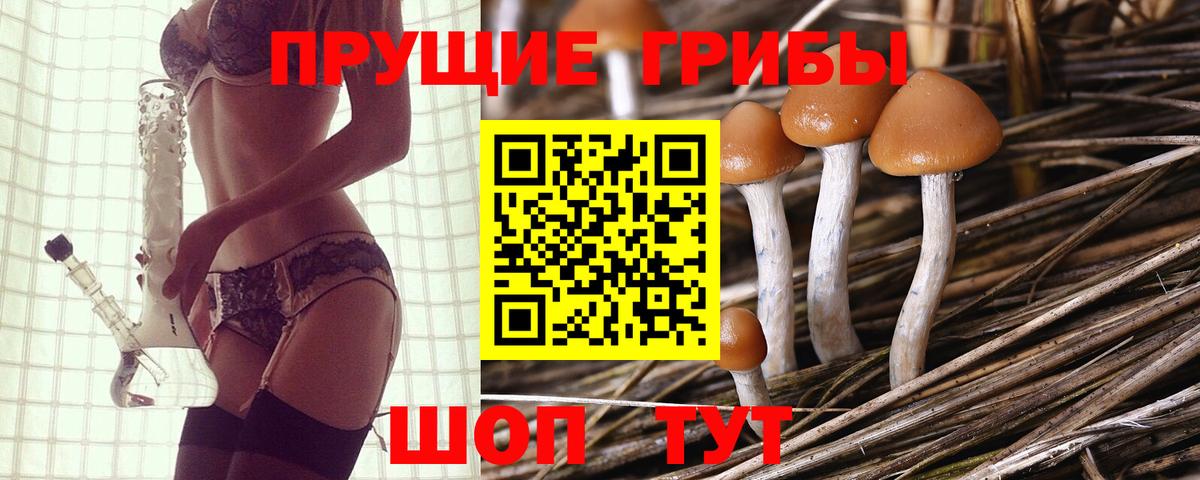 Донской  Галлюциногенные грибы Psilocybine cubensis  купить наркоту  Вход с VPN 
