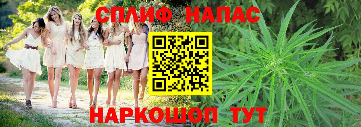 Шишки марихуана конопля  Шишки марихуана сатива  Донской  Вход с VPN  Бошки Шишки Bruce Banner 